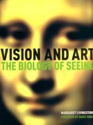 VISION AND ART. THE BIOLOGY OF SEEING. 