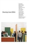GILLICK: MEANING LIAM GILLICK