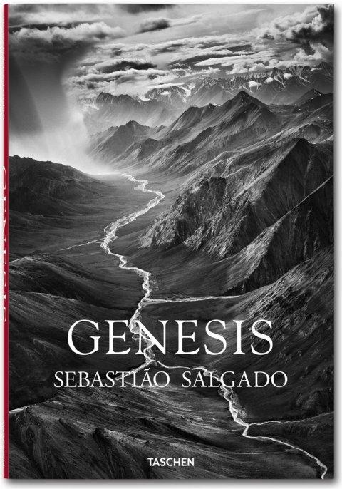 GENESIS   SEBASTIAN SALGADO
