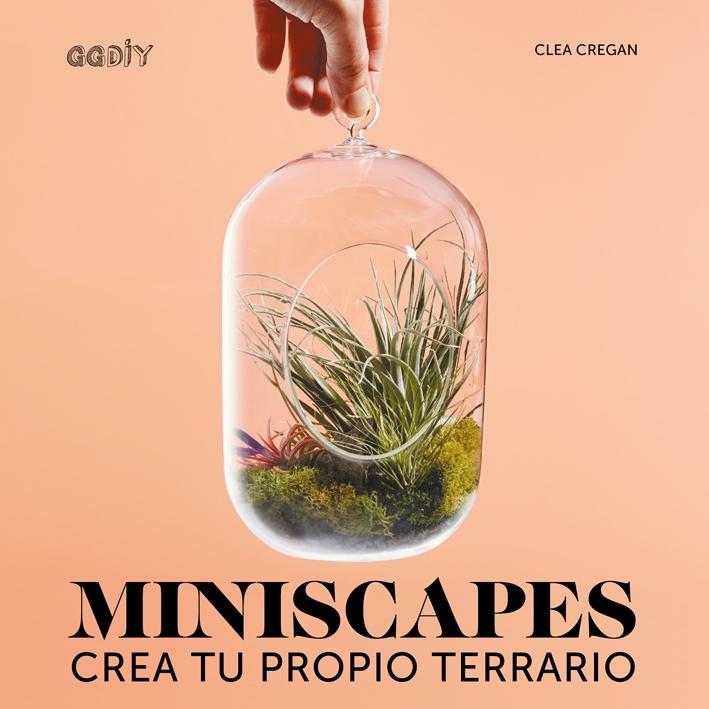 MINISCAPES "CREA TU PROPIO TERRARIO". 