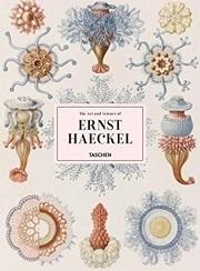 ERNST HAECKEL XXL