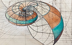 La geometría en la Naturaleza. El número áureo phi