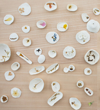 JUNYA ISHIGAMI. HOW SMALL? HOW VAST?HOW ARCHITECTURE GROWS
