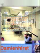 HIRST: DAMIEN HIRST