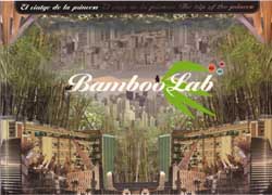 BAMBOO LAB. EL VIATGE DE LA PRINCESA/ EL VIAJE DE LA PRINCESA/ THE TRIP OF THE PRINCESS