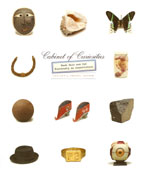 CABINET OF CURIOSITIES. MARK DION AND THE UNIVERSITY AS INSTALLATION