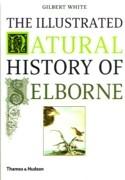 ILLUSTRATED NATURAL HISTORY OF SELBORNE, THE