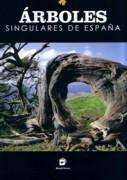 ARBOLES SINGULARES DE ESPAÑA