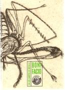 BONIFACIO: EN LOS CAMPOS DE BATALLA (+DVD)