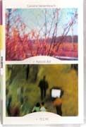 RIST: PIPILOTTI RIST ( DVD).