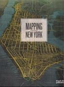 MAPPING NEW YORK. 