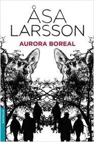 AURORA BOREAL