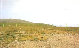 LE LONG DE LA LIGNE / A LO LARGO DE LA LINEA