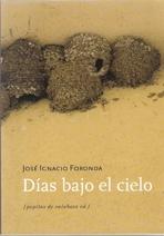 DÍAS BAJO EL CIELO