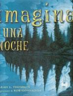 IMAGINA UNA NOCHE