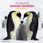 MY FAVORITE ANIMAL FAMILIES