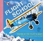 FLIGHT SCHOLL. HOW TO FLY A PLANE STEP BY STEP