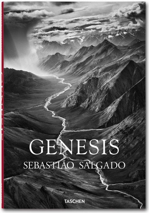 GENESIS   SEBASTIAN SALGADO. 