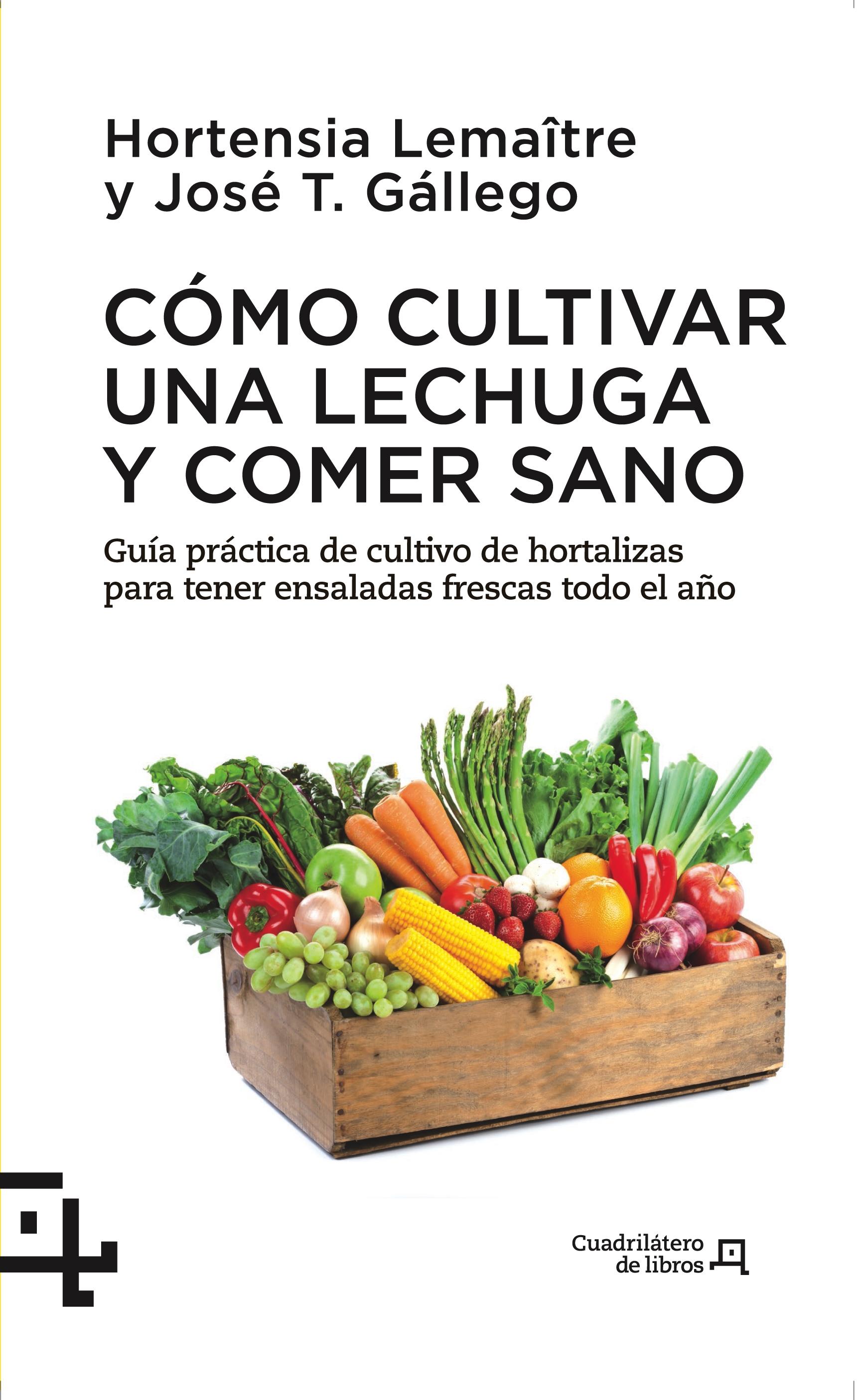 COMO CULTIVAR UNA LECHUGA Y COMER SANO