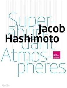 JACOB HASHIMOTO. KITES