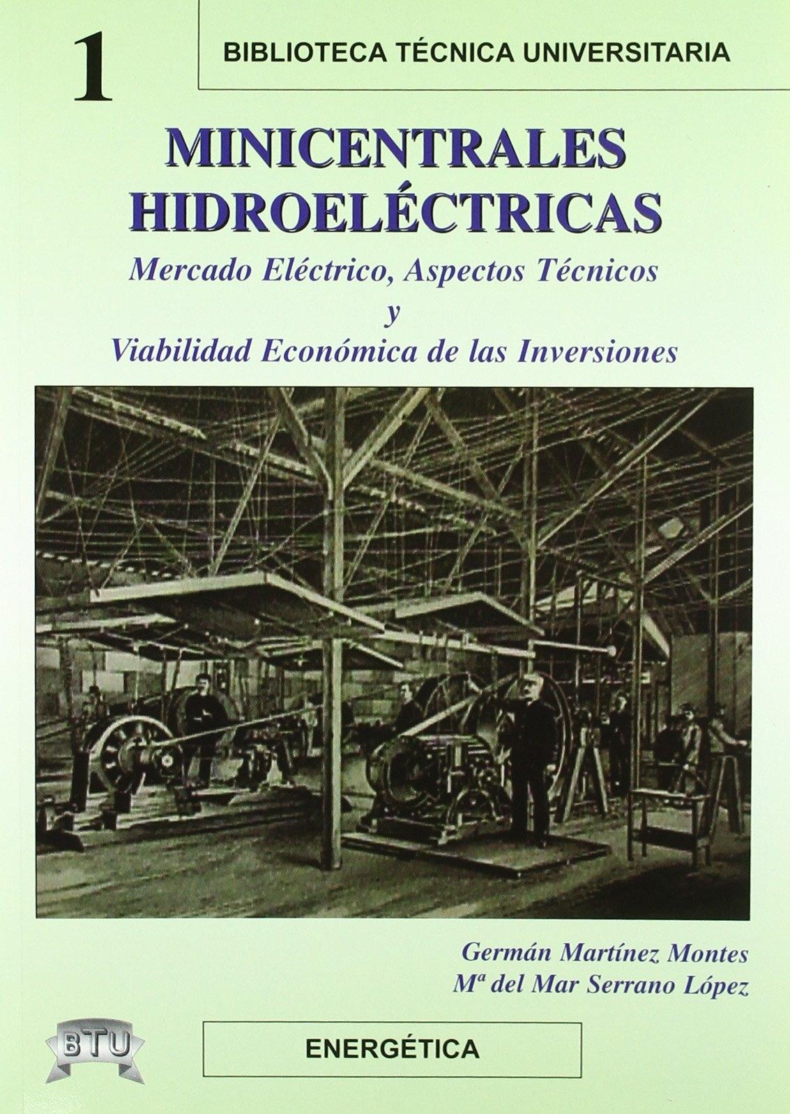 MINICENTRALES HIDROELÉCTRICAS "MERCADO ELÉCTRICO, ASPECTOS TÉCNICOS Y VIABILIDAD ECONÓMICA DE L". 