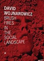 DAVID WOJNAROWICZ: BRUSH FIRES IN THE SOCIAL LANDSCAPE