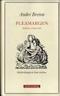 PLEAMARGEN. POESÍA 1940-1948