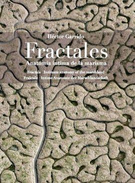 FRACTALES.  ANATOMIA INTIMA DE LA MARISMA