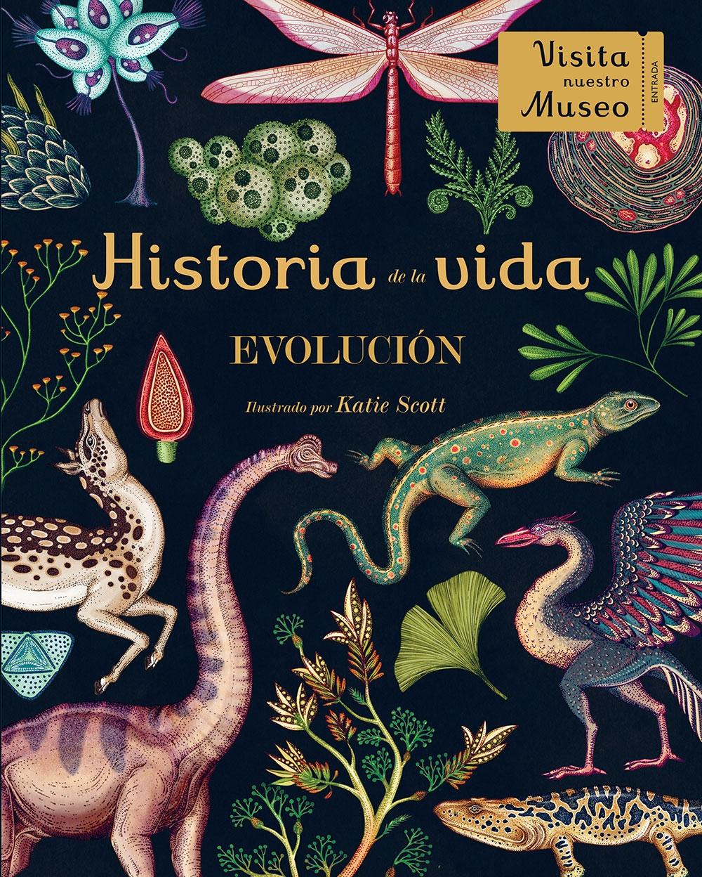 HISTORIA DE LA VIDA. EVOLUCION. 