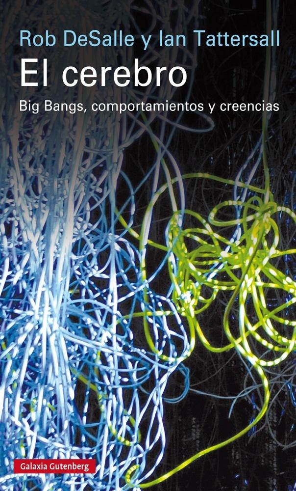 CEREBRO, EL "BIG BANGS, COMPORTAMIENTOS Y CREENCIAS". 