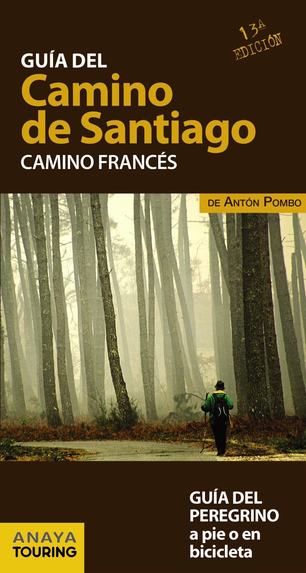  El Camino de Santiago en tu mochila. Camino Norte:  9788491581017: Anaya Touring, Pombo Rodríguez, Antón: Libros