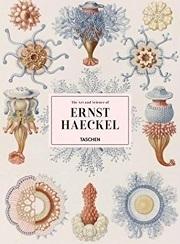 ERNST HAECKEL XXL