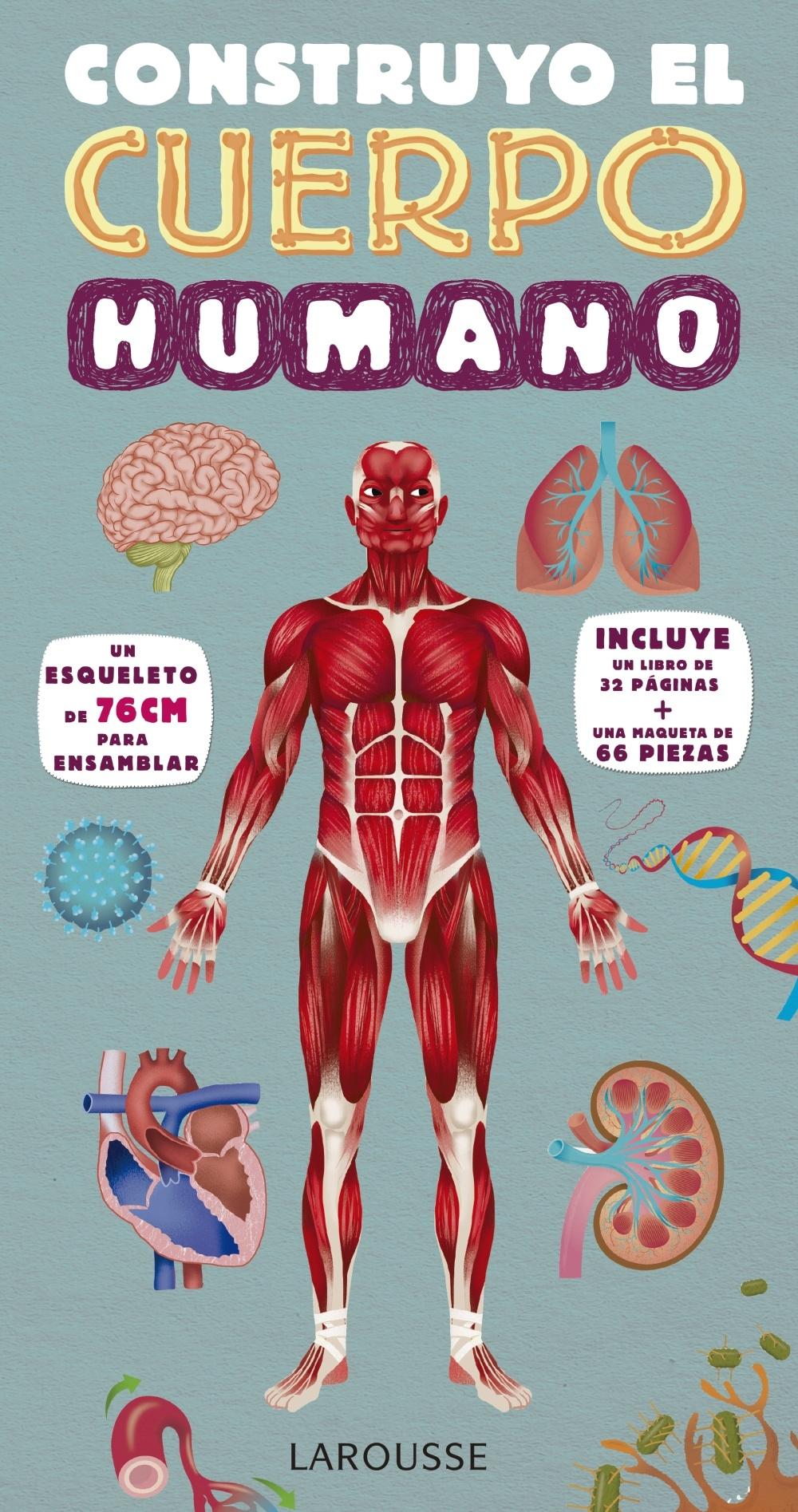 CONSTRUYO EL CUERPO HUMANO.