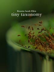 TINY TAXONOMY