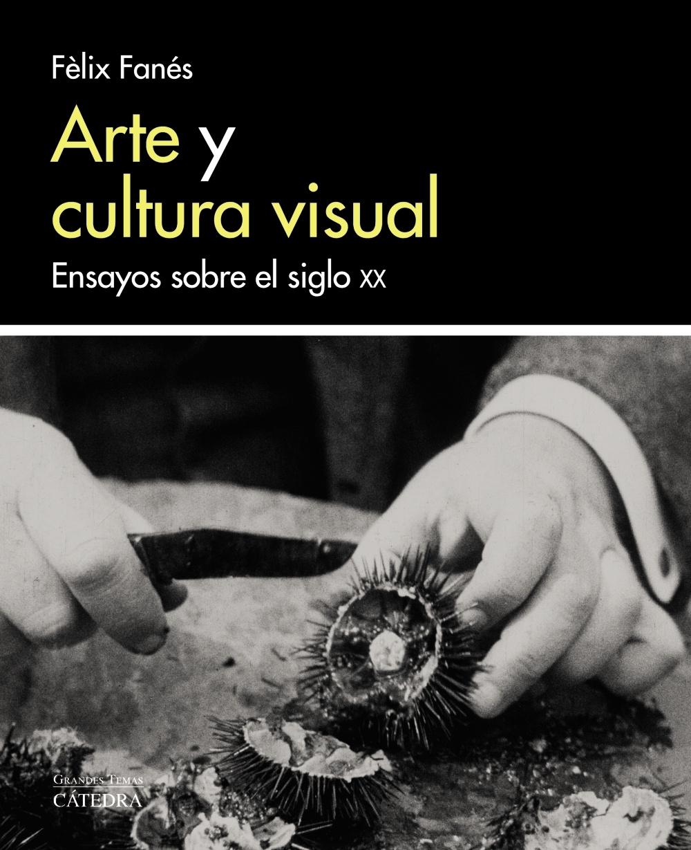 ARTE Y CULTURA VISUAL "ENSAYOS SOBRE EL SIGLO XX".