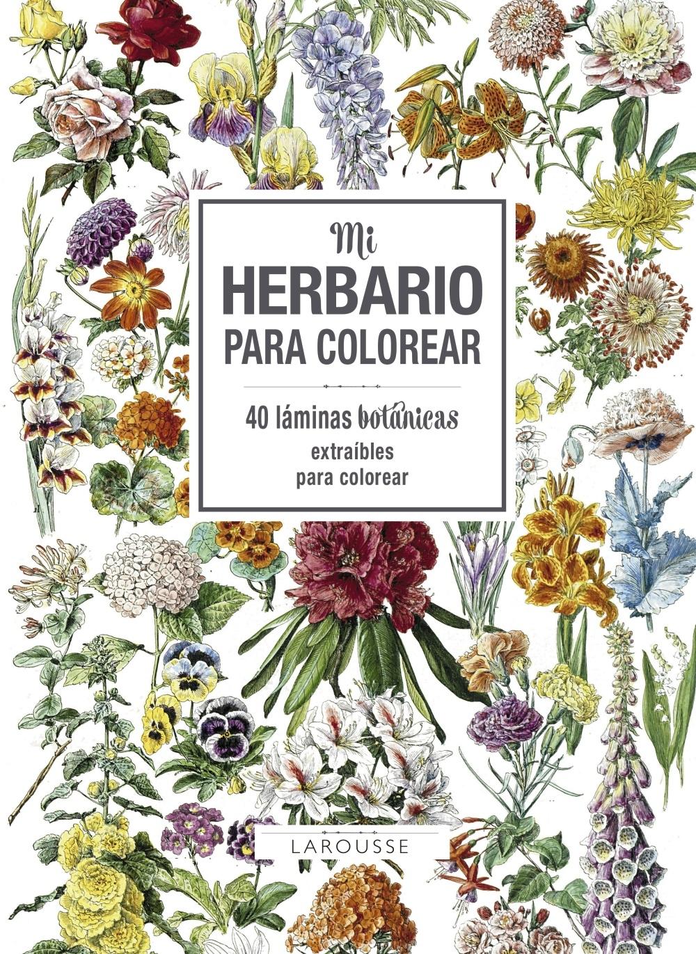 MI HERBARIO PARA COLOREAR.