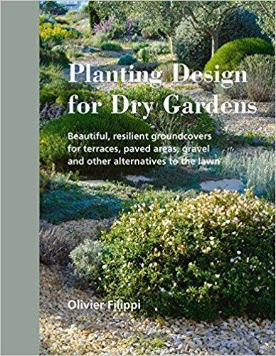PLANTING DESIGN FOR DRY GARDENS : BEAUTIFUL, RESILIENT GROUNDCOVERS FOR TERRACES, PAVED AREAS, GRAVEL AN