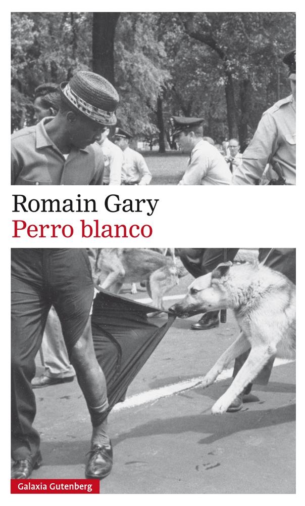 PERRO BLANCO