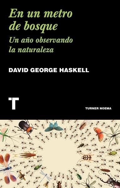 EN UN METRO DE BOSQUE "UN AÑO OBSERVANDO LA NATURALEZA"