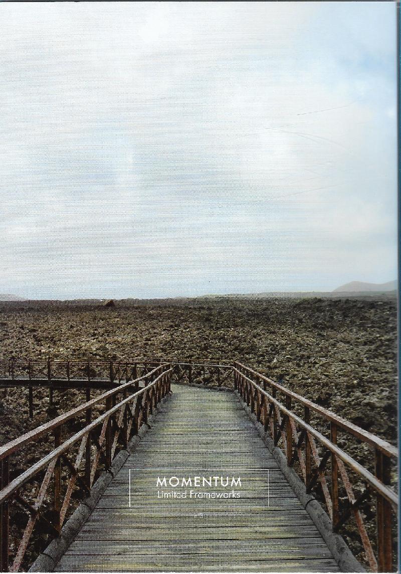 MOMENTUM Nº 3. LIMITED FRAMEWORKS