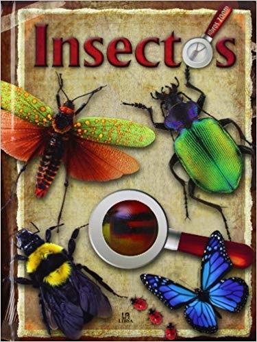 INSECTOS. 