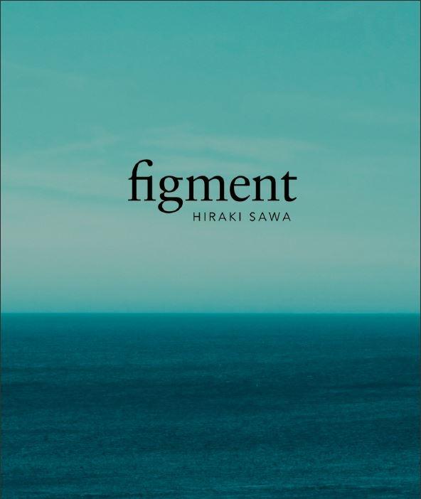 FIGMENT