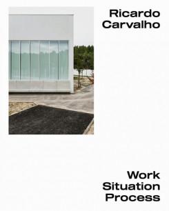 CARVALHO: WORK SITUATION PROCESS. RICARDO CARVALHO. 