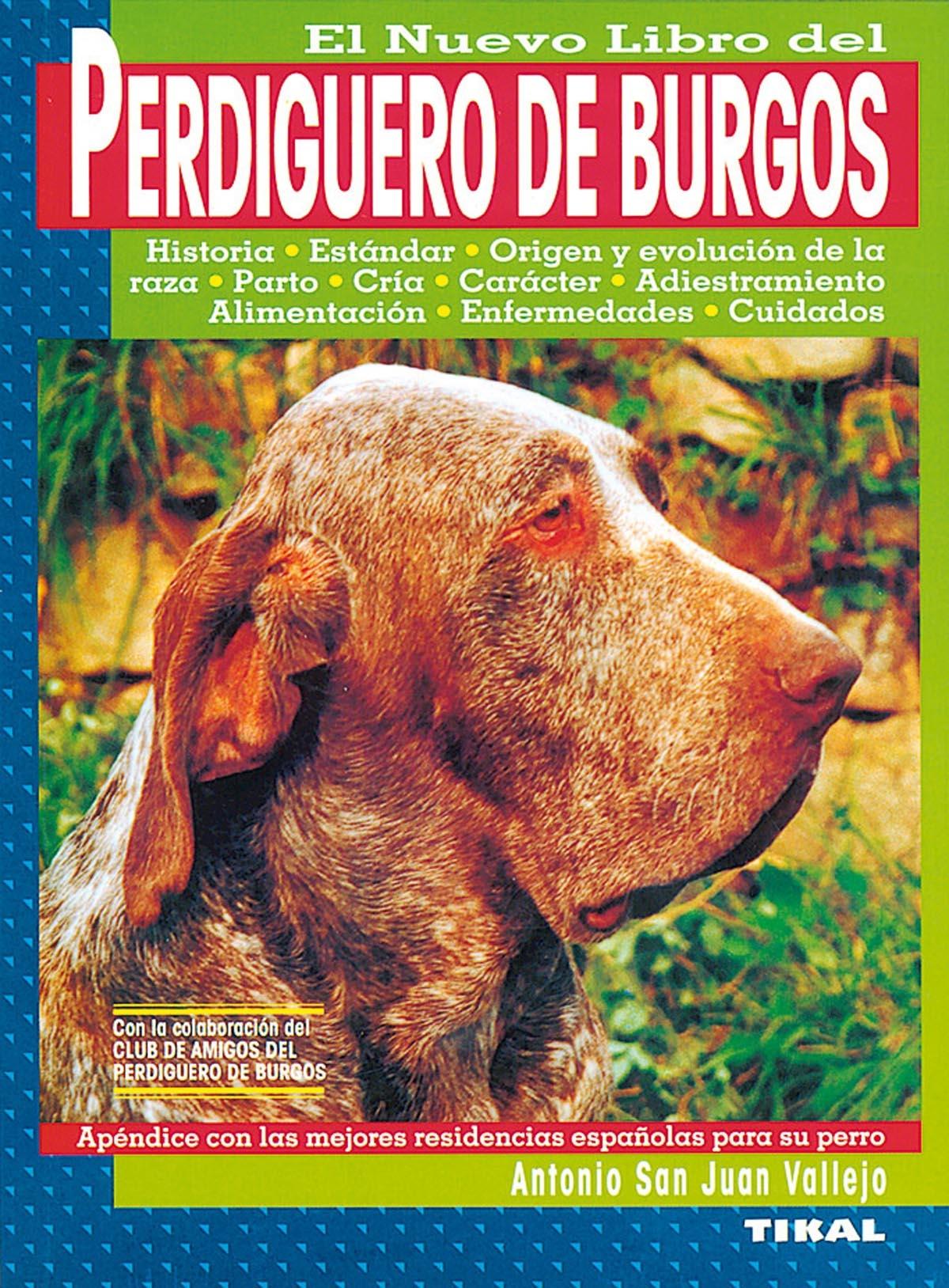 PERDIGUERO DE BURGOS.