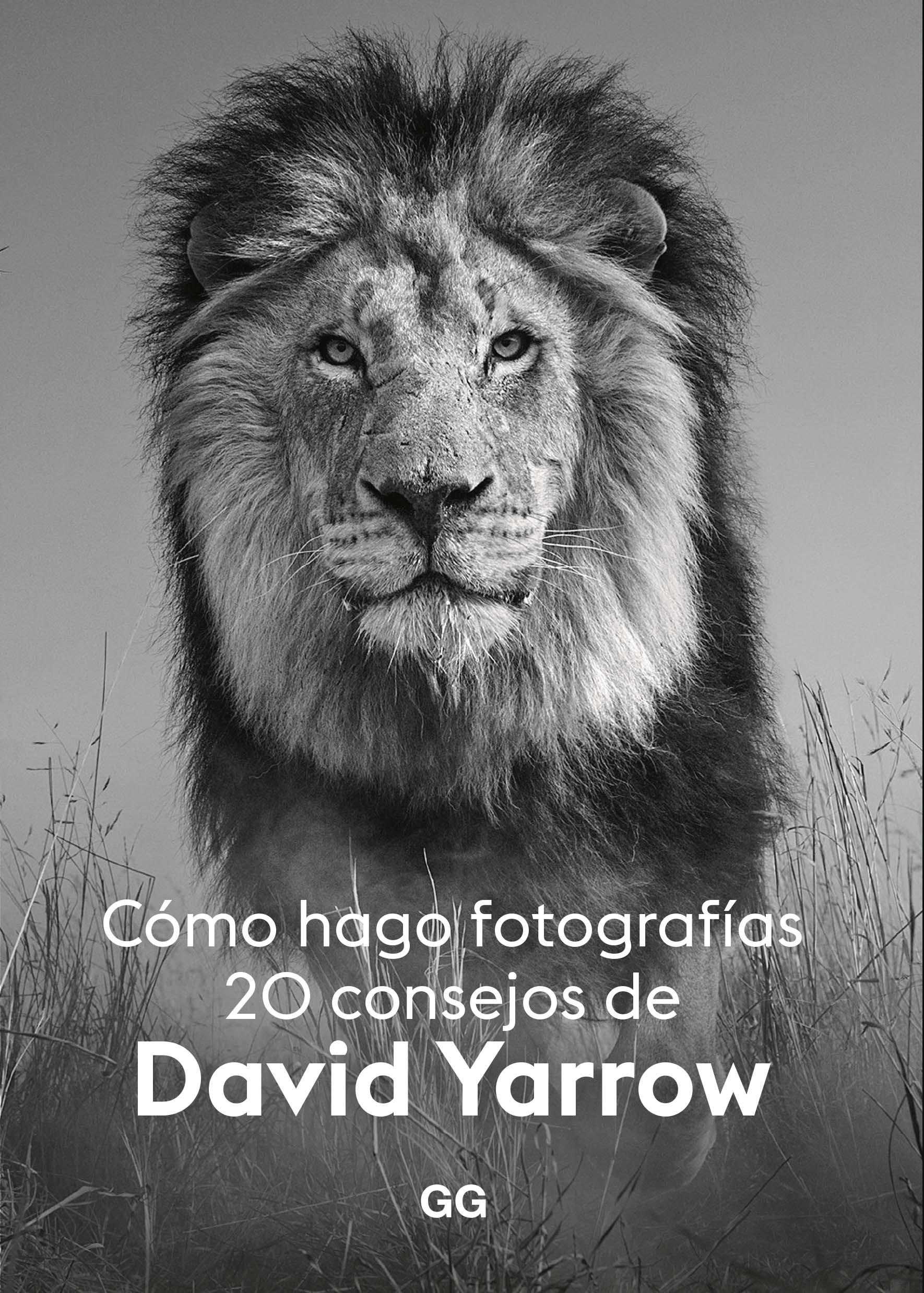 CÓMO HAGO FOTOGRAFÍAS "20  CONSEJOS DE DAVID YARROW"