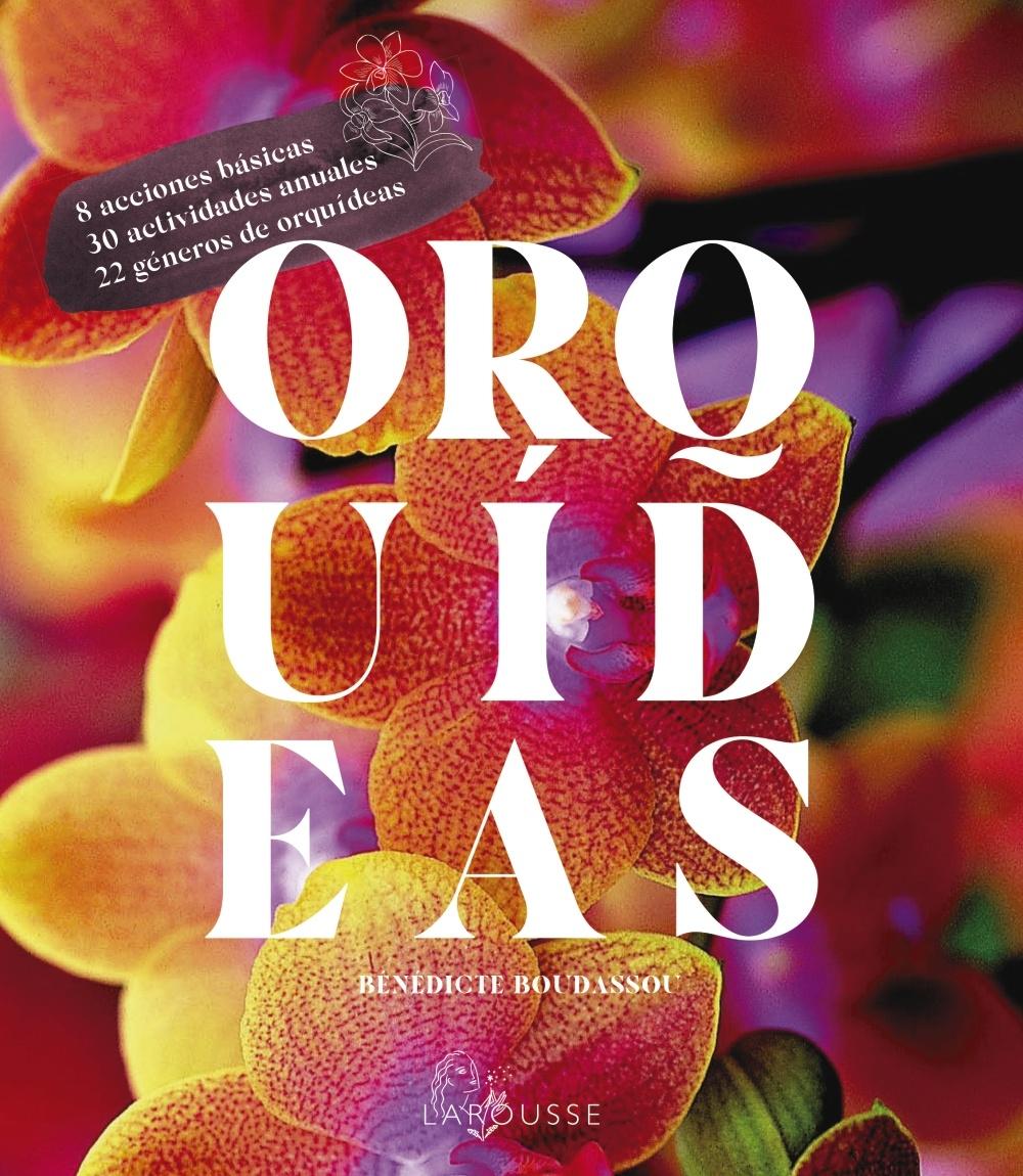 ORQUÍDEAS. 