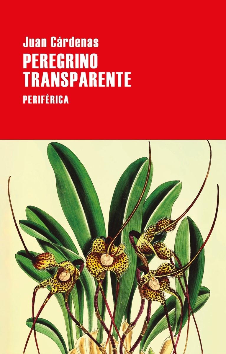 PEREGRINO TRANSPARENTE