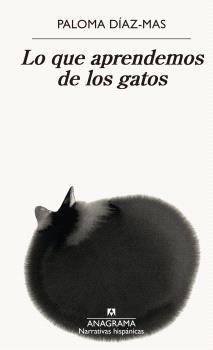 LO QUE APRENDEMOS DE LOS GATOS. 