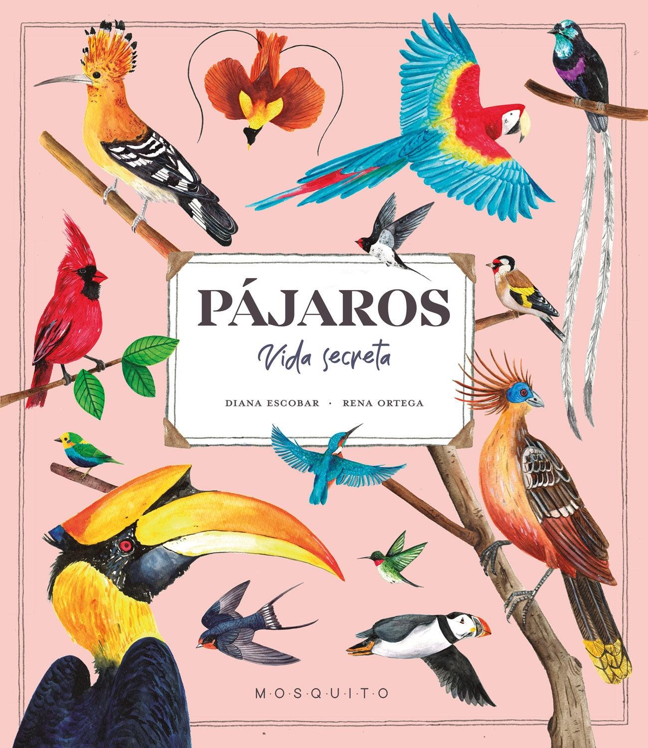PAJAROS. VIDA SECRETA