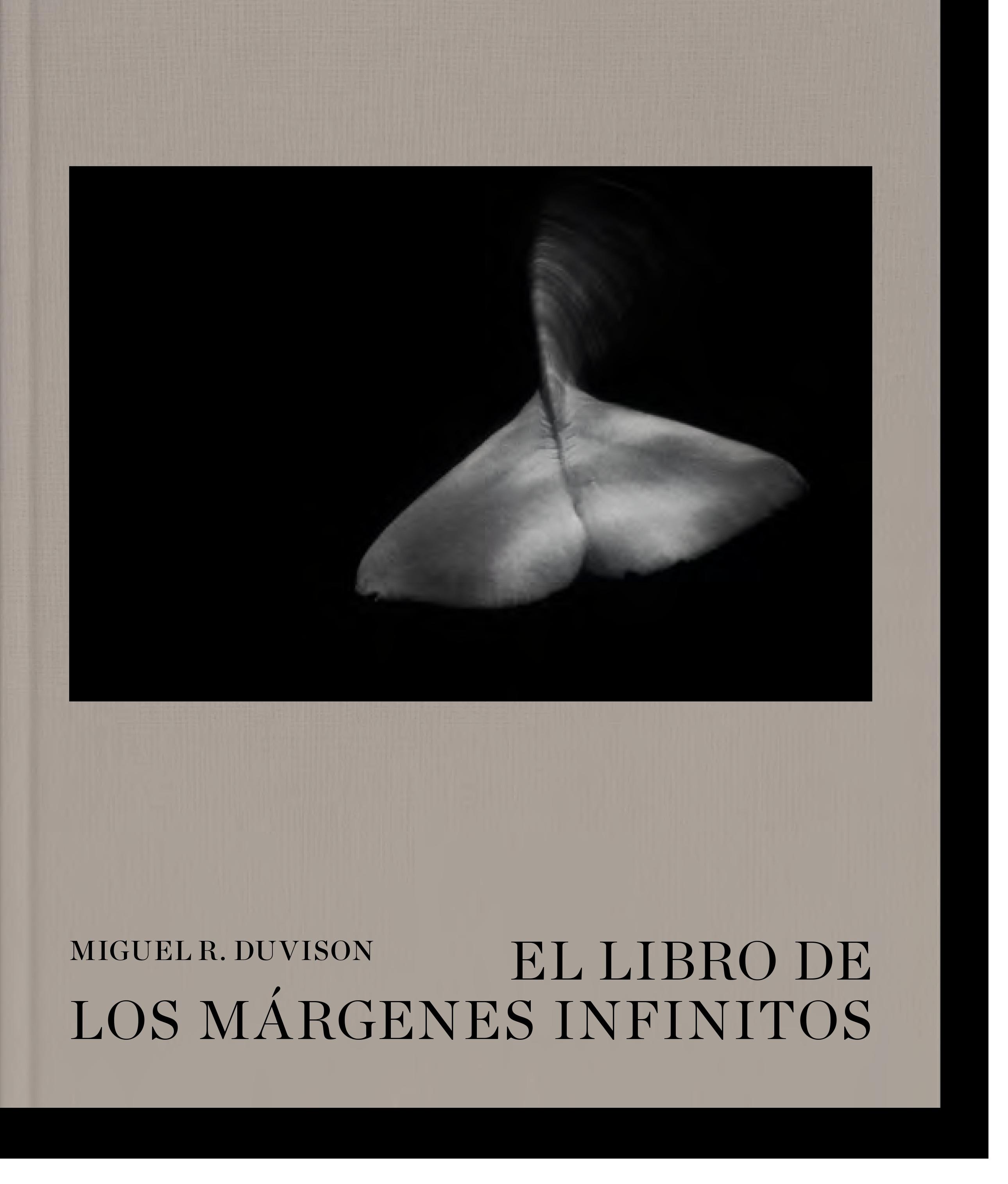 LIBRO DE LOS MARGENES INFINITOS, EL